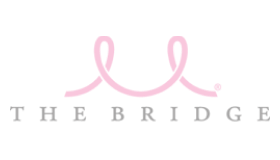 The Bridge Logo